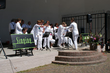 Uitvoering 2013 Schagen Muziektuin (18).jpg